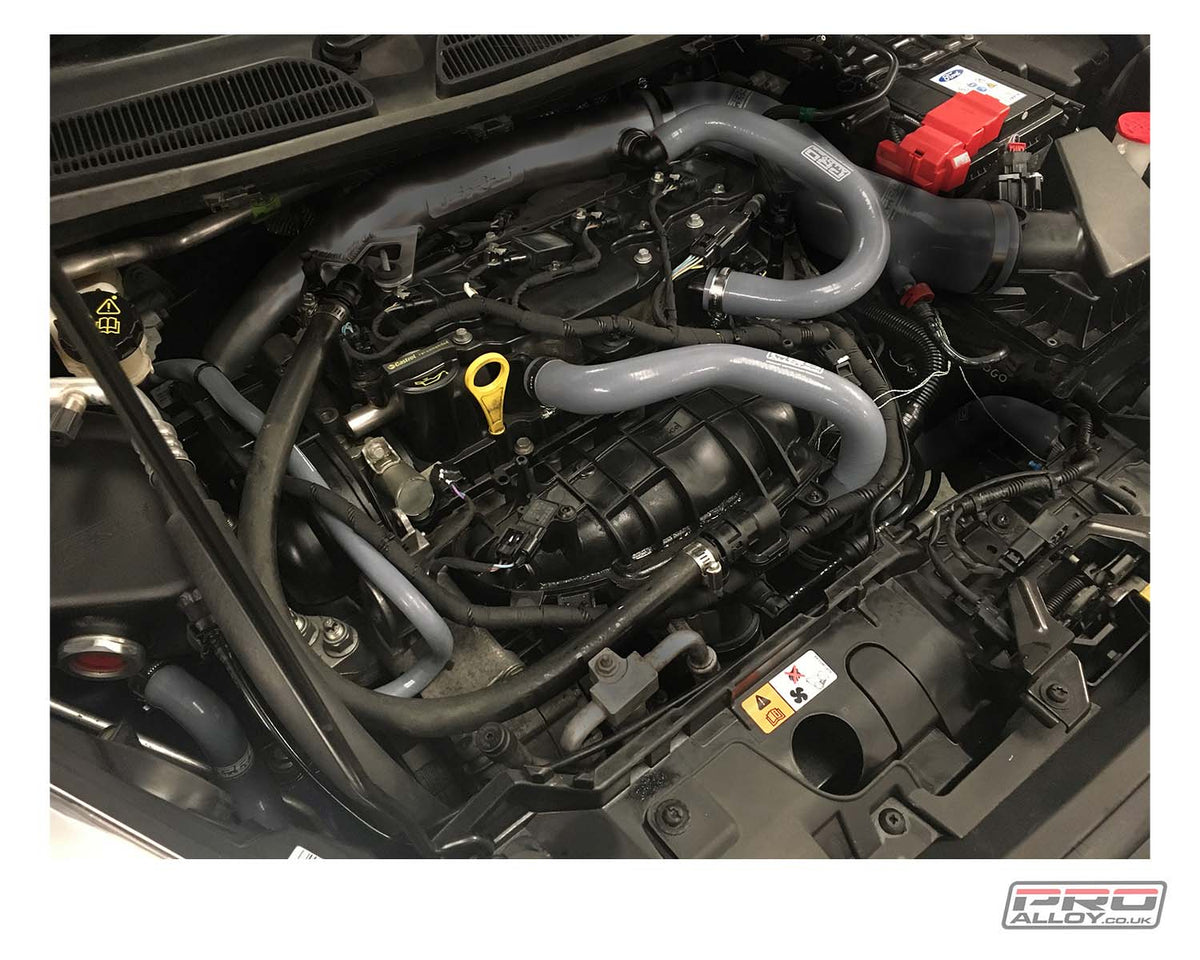 Fiesta ST MK7 Auxiliary Silicone Hose Kit Silicone Hoses    - Pro Alloy